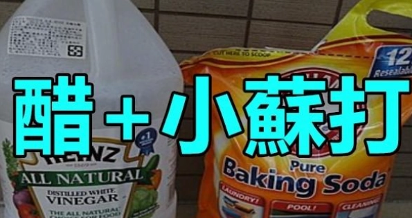 小蘇打加醋清潔 小蘇打加醋清潔