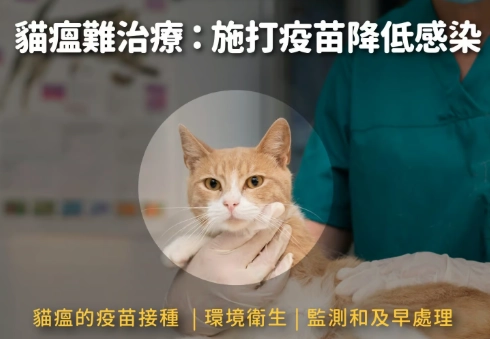 貓瘟治療時間