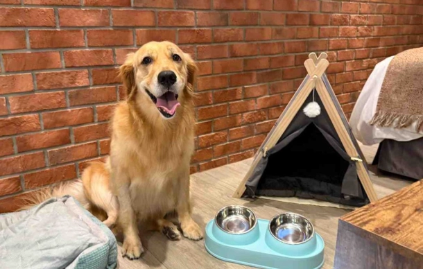 高雄寵物友善餐廳 高雄寵物友善餐廳