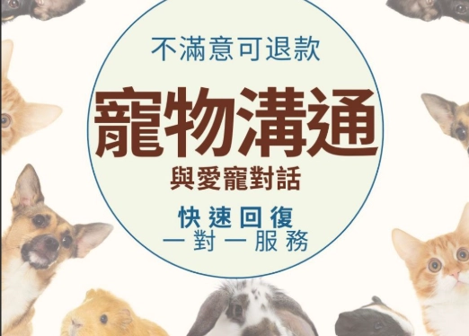 逝世寵物溝通方法 逝世寵物溝通方法