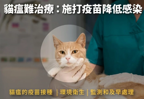 寵物安樂死過程 寵物安樂死過程