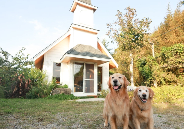 帶寵物旅行小木屋