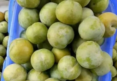 李子營養價值 李子營養價值