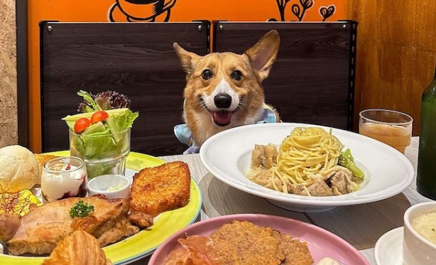 高雄帶寵物餐廳