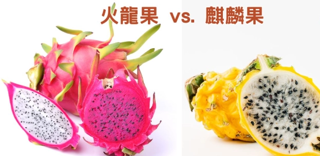 紅肉火龍果功效 紅肉火龍果功效
