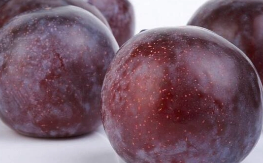 李子健康益處 李子健康益處