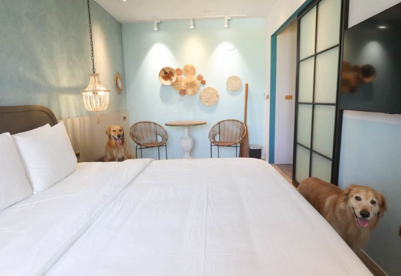 高雄寵物友善住宿 高雄寵物友善住宿
