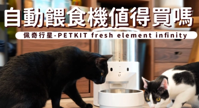 貓咪用品清單 貓咪用品清單