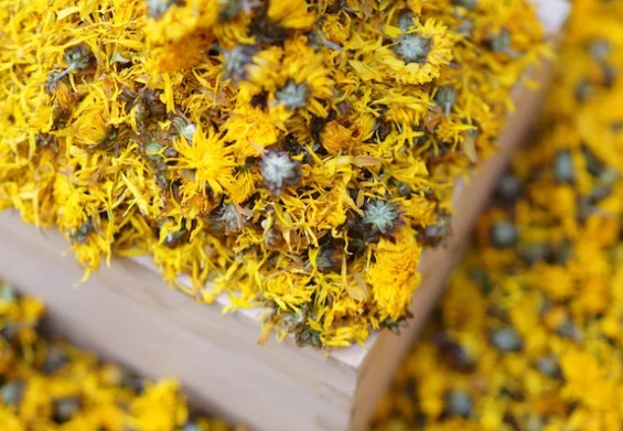 去濕方法 去濕方法