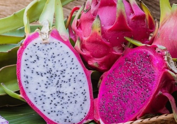 紅肉火龍果癌 預防 紅肉火龍果癌 預防