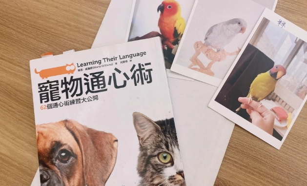 寵物溝通方法