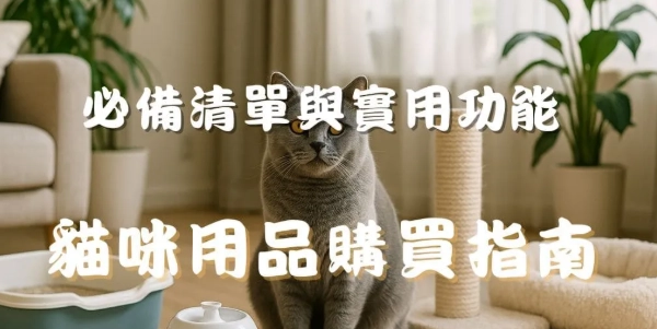 新手養貓必備 新手養貓必備