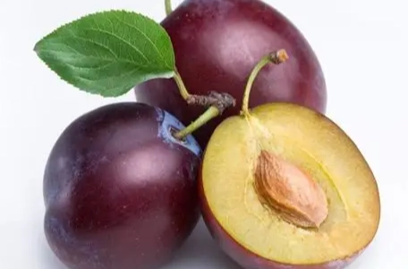 李子健康益處 李子健康益處