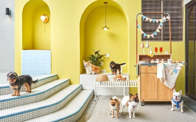 高雄寵物友善餐廳 高雄寵物友善餐廳