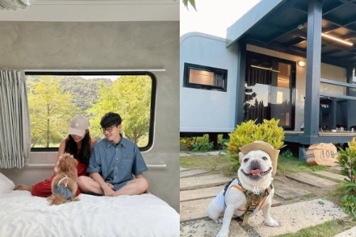 新竹寵物友善住宿