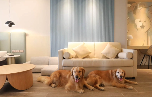 高雄寵物友善餐廳 高雄寵物友善餐廳