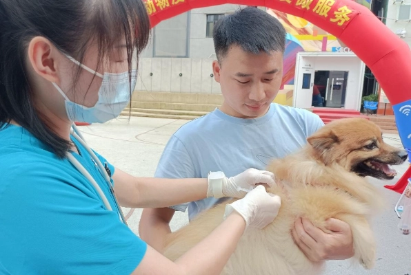 貓疫苗不良反應 貓疫苗不良反應