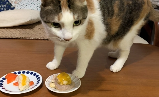 貓疫苗食慾不振