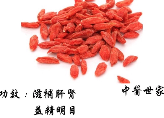 野生枸杞子好處 野生枸杞子好處