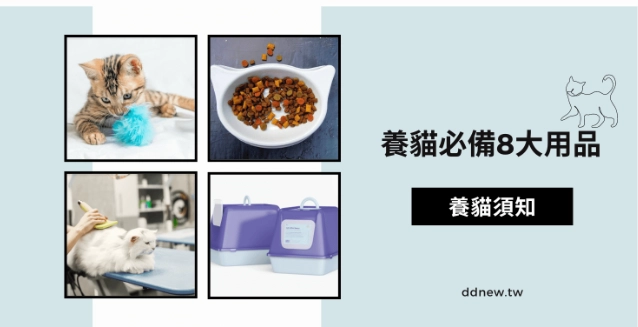 新手養貓必備 新手養貓必備