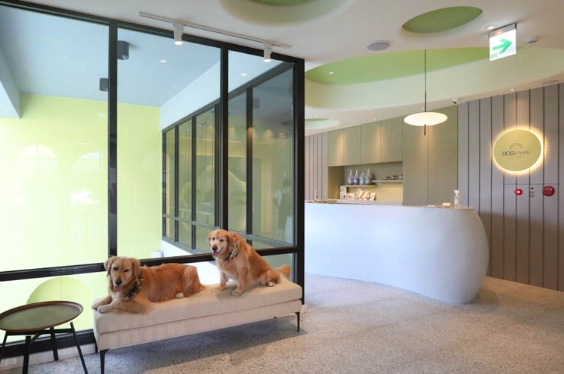 高雄寵物友善住宿 高雄寵物友善住宿