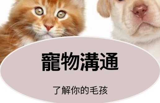 離世寵物溝通 離世寵物溝通