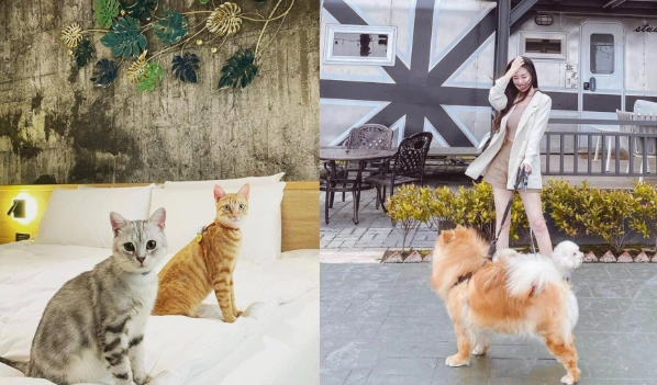 西門町寵物友善飯店