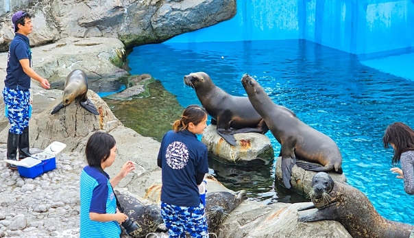 水獺互動體驗 水獺互動體驗