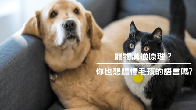 寵物溝通方法