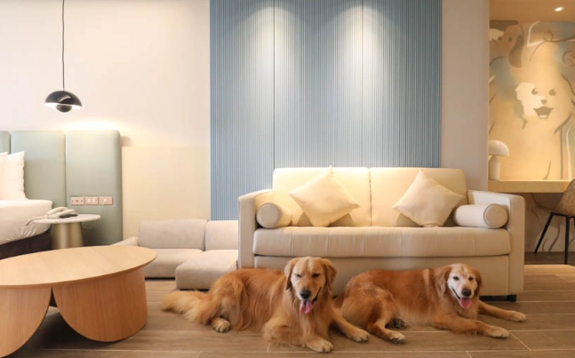 高雄帶寵物住宿 高雄帶寵物住宿