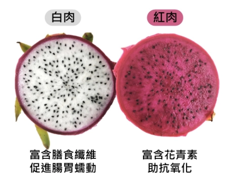 火龍果不能和什麼一起吃