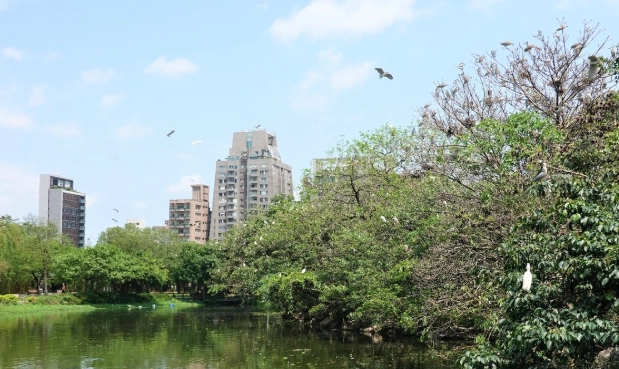 大安區好玩景點