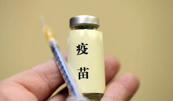 貓疫苗不良反應 貓疫苗不良反應