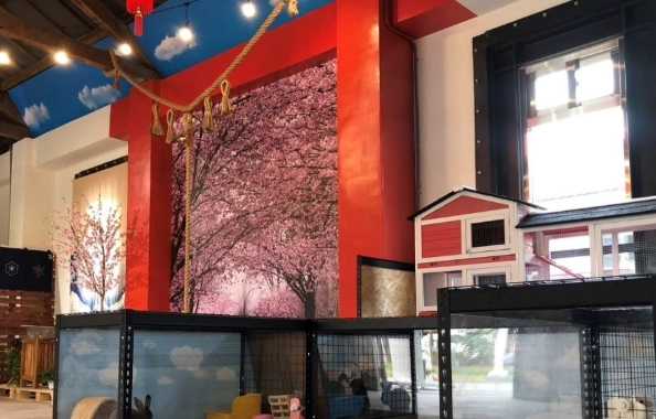 高雄寵物友善住宿 高雄寵物友善住宿