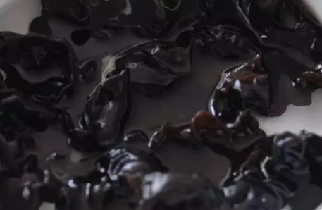 黑木耳食用禁忌 黑木耳食用禁忌