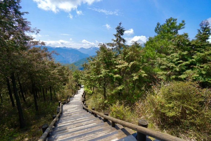 觀霧森林遊樂區 觀霧森林遊樂區