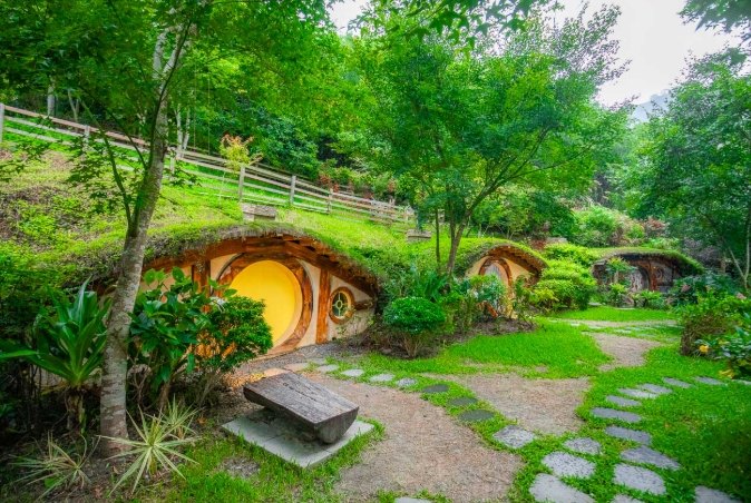 茶樹森林旅遊 茶樹森林旅遊