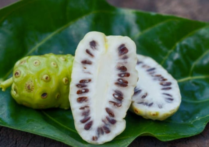 諾麗果好處 諾麗果好處