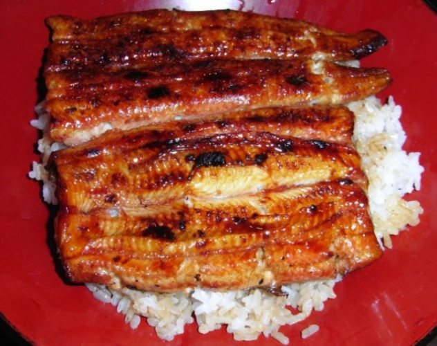 日本鰻魚飯文化 日本鰻魚飯文化