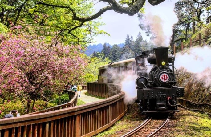 阿里山攝影地點 阿里山攝影地點