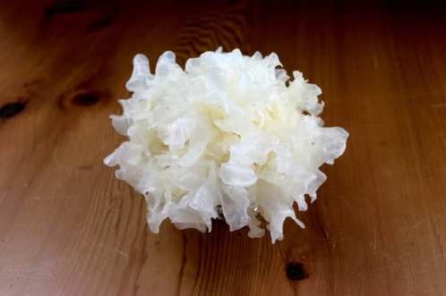 白木耳健康益處 白木耳健康益處