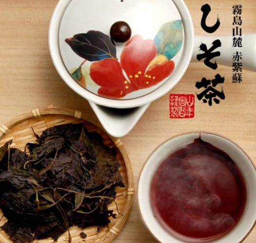 紫蘇茶副作用 紫蘇茶副作用
