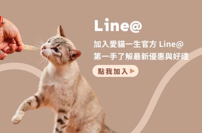 貓皰疹治療 貓皰疹治療