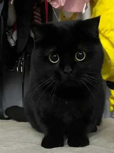 夢境象徵意義 夢境象徵意義