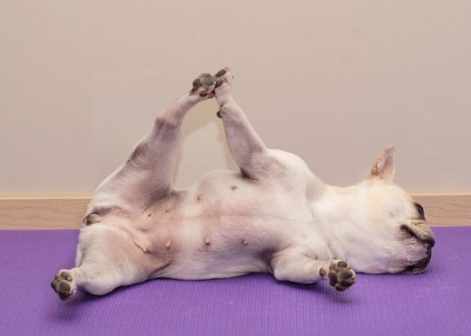 法鬥健康運動 法鬥健康運動