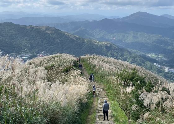 鄉鎮旅遊景點 鄉鎮旅遊景點