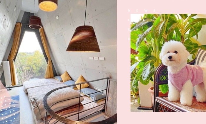 台中寵物友善住宿 台中寵物友善住宿