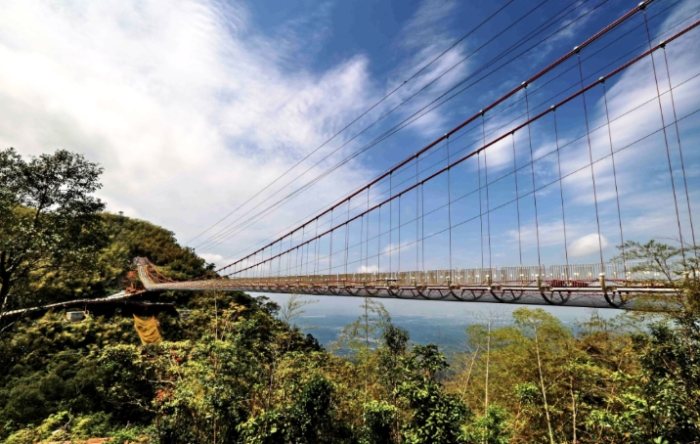 阿里山旅遊景點 阿里山旅遊景點
