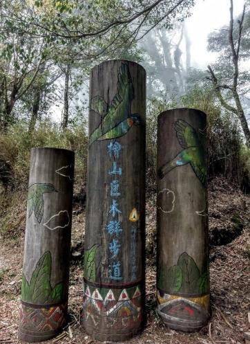 觀霧山莊景點 觀霧山莊景點