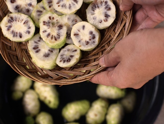 諾麗果好處 諾麗果好處